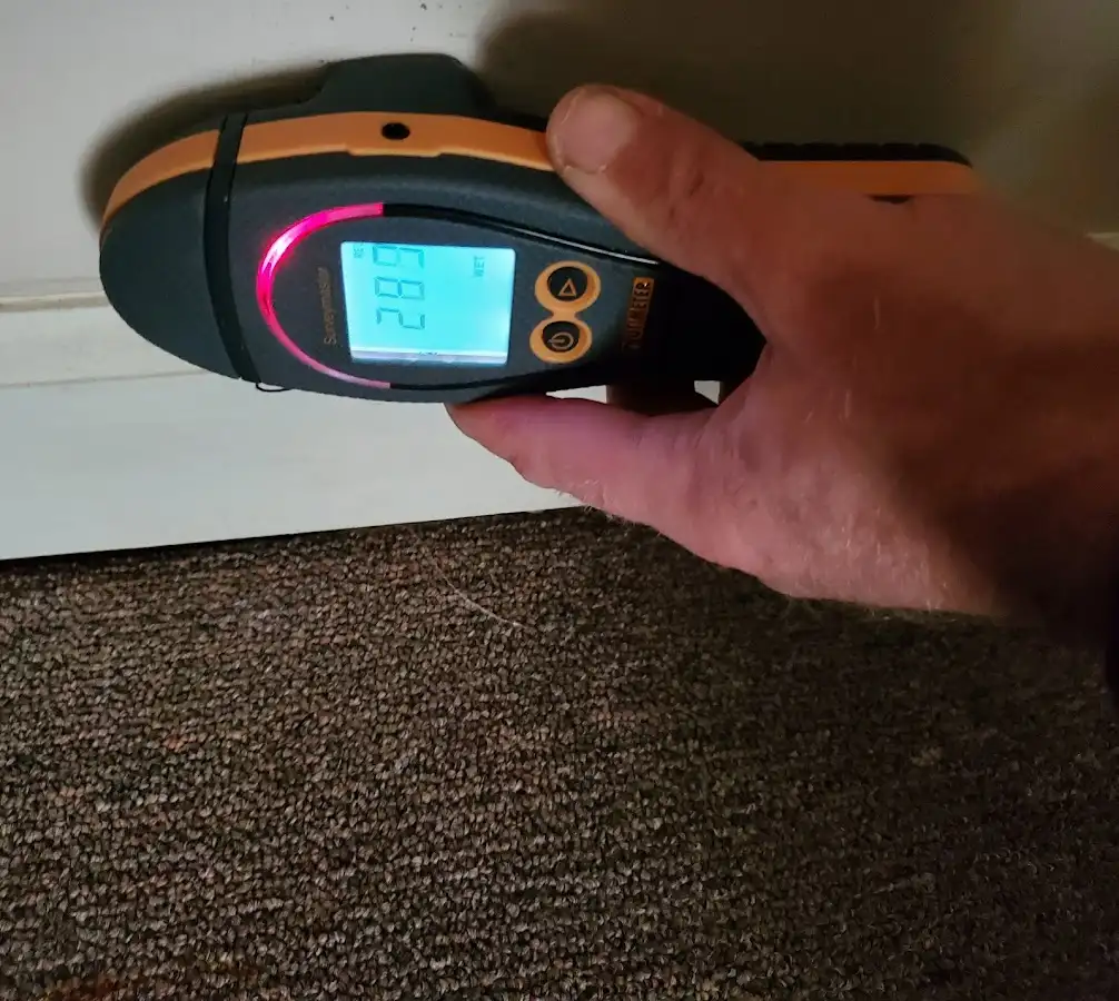 Moisture detection at baseboard during Burst Pipe Cleanup in Gun Barrel City